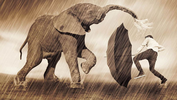 Best Life Insurance Covers in South Africa