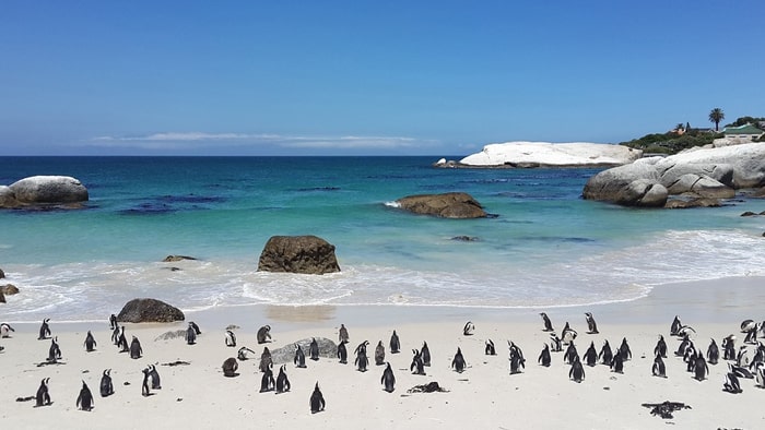 Water Parks in Western Cape